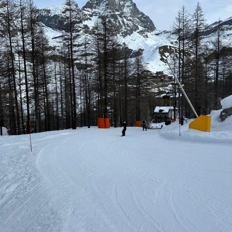 Rododendro Ski-in Ski-out CIR 0491 - Appartamento con 1 Camera da Letto - 23