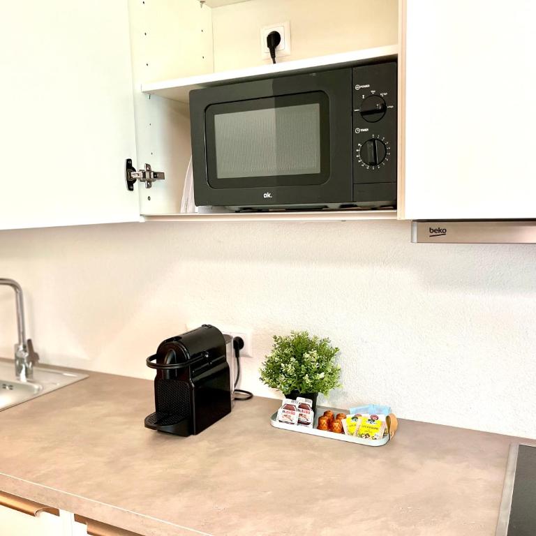 SEENZeit Apartments - Apartment mit 1 Schlafzimmer, Balkon und Bergblick - 3