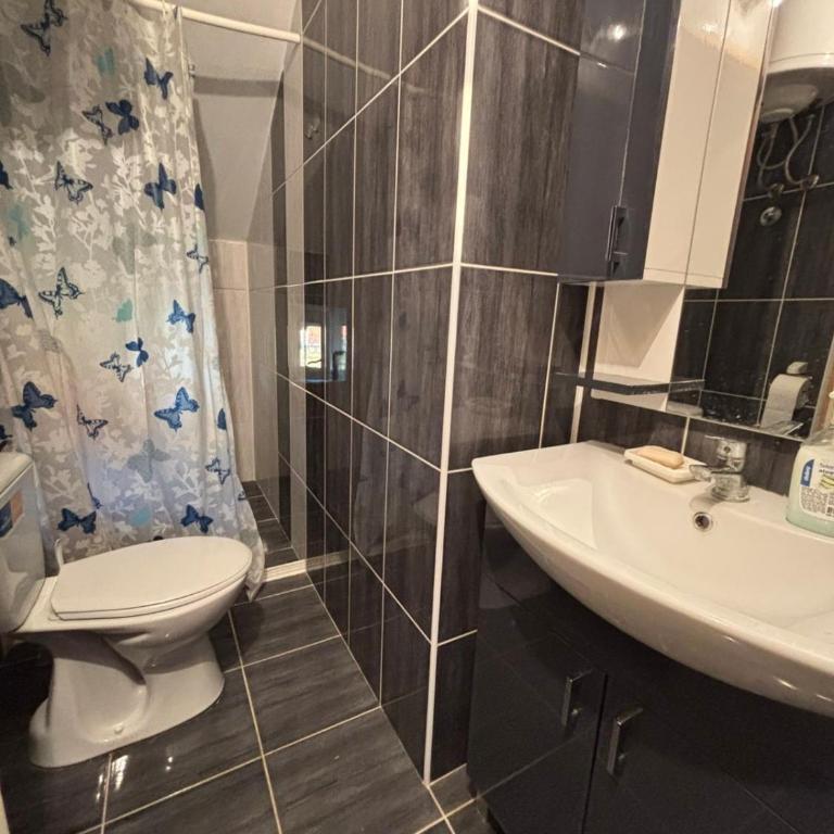 Apartmani Radovanovic - Apartman sa 1 Spavaćom Sobom - 5