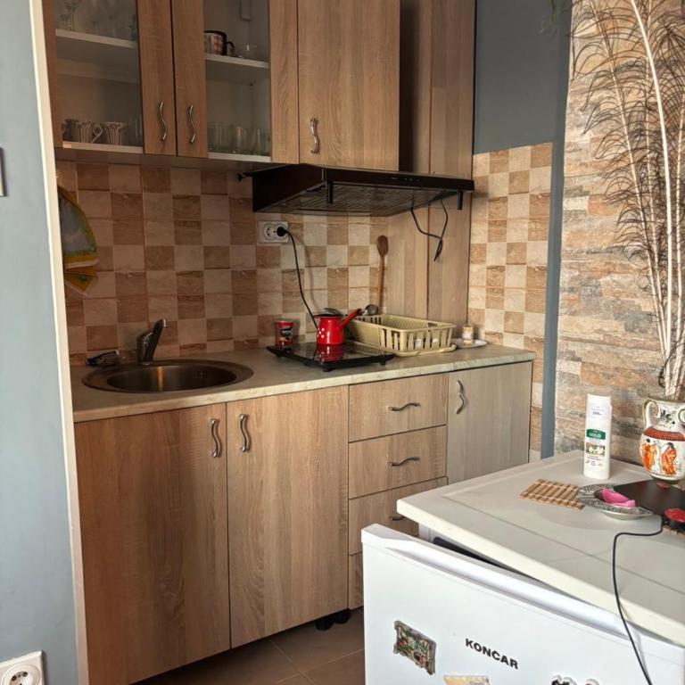 Apartmani Radovanovic - Apartman sa 1 Spavaćom Sobom - 6