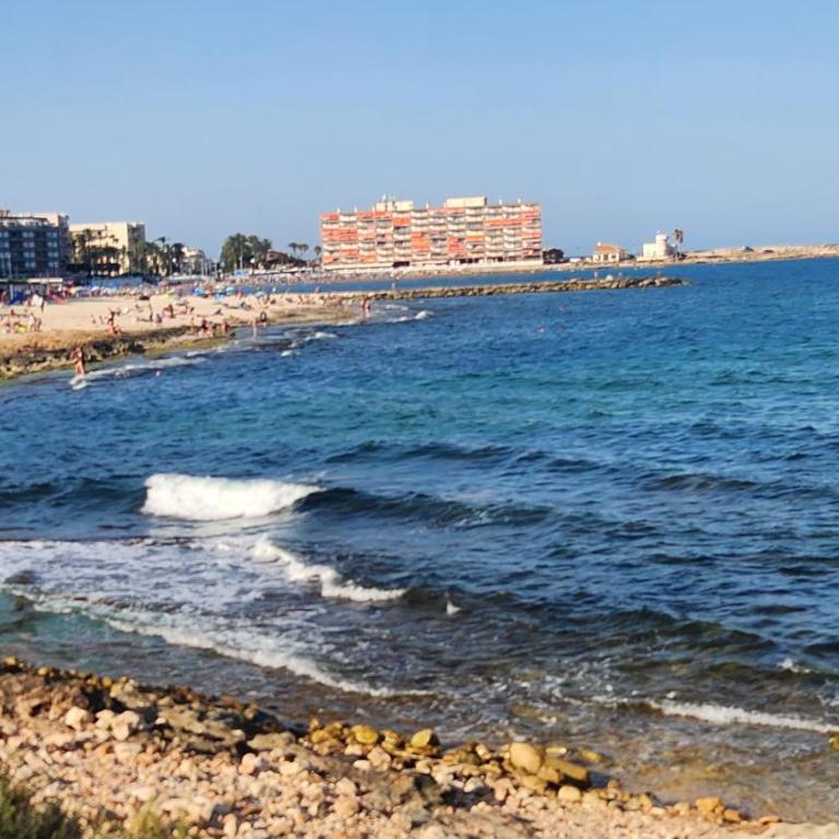 Apartament Torrevieja Playa Los Locos - Apartamento de 2 dormitorios - 66