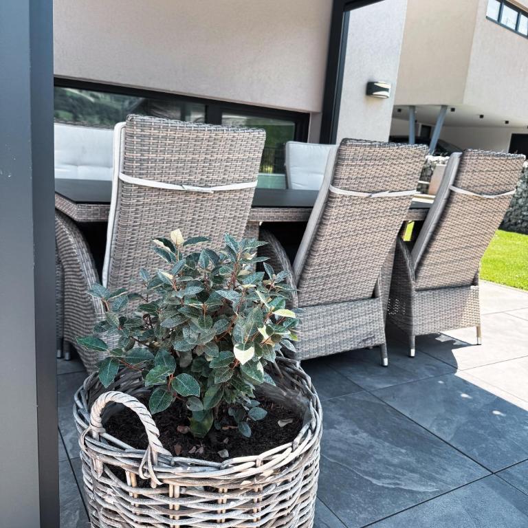 Appartement Alpenzauber - Apartment mit Gartenblick - 2