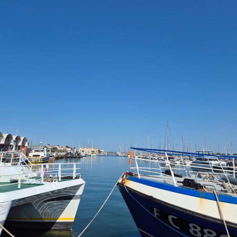 Le B - A 200 m de la plage - Studio - 44