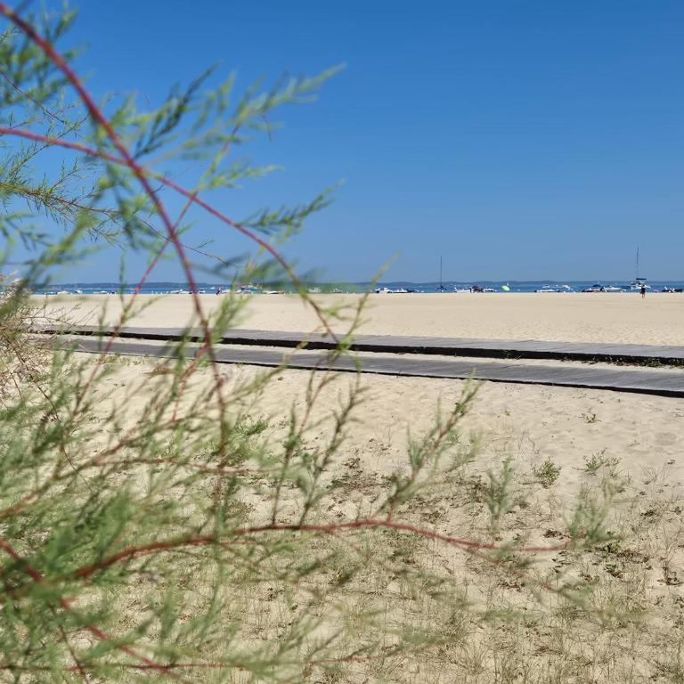 Le B - A 200 m de la plage - Studio - 33