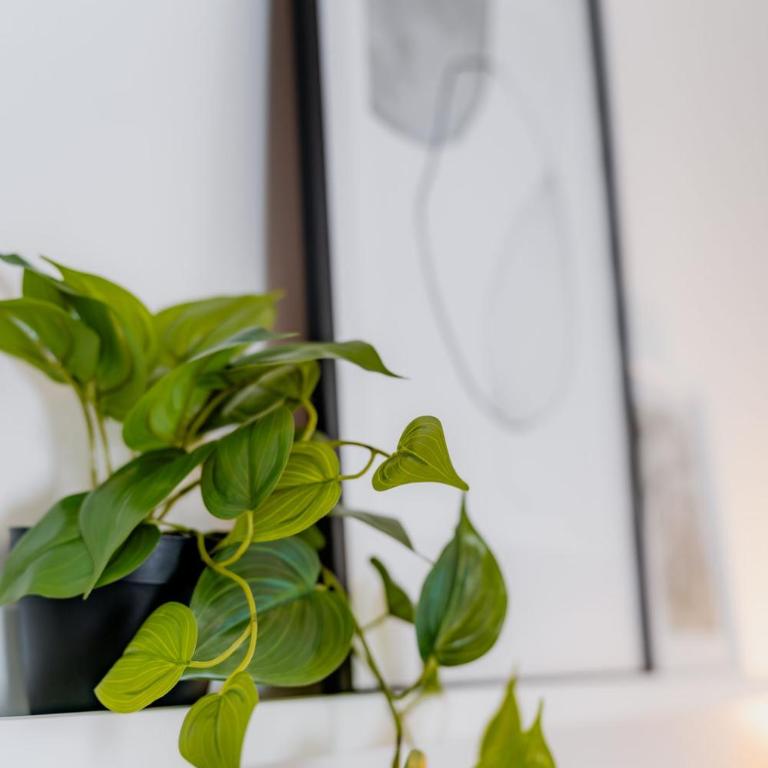 SEENZeit Apartments - Apartment mit 1 Schlafzimmer und Aussicht - 9