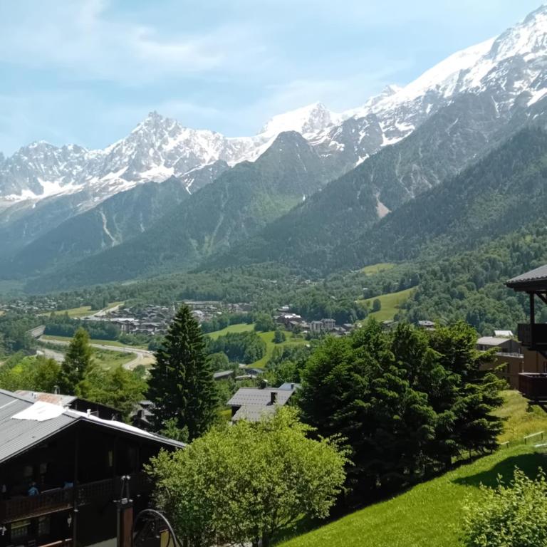 OLCA Les Houches - Studio avec Balcon - 13