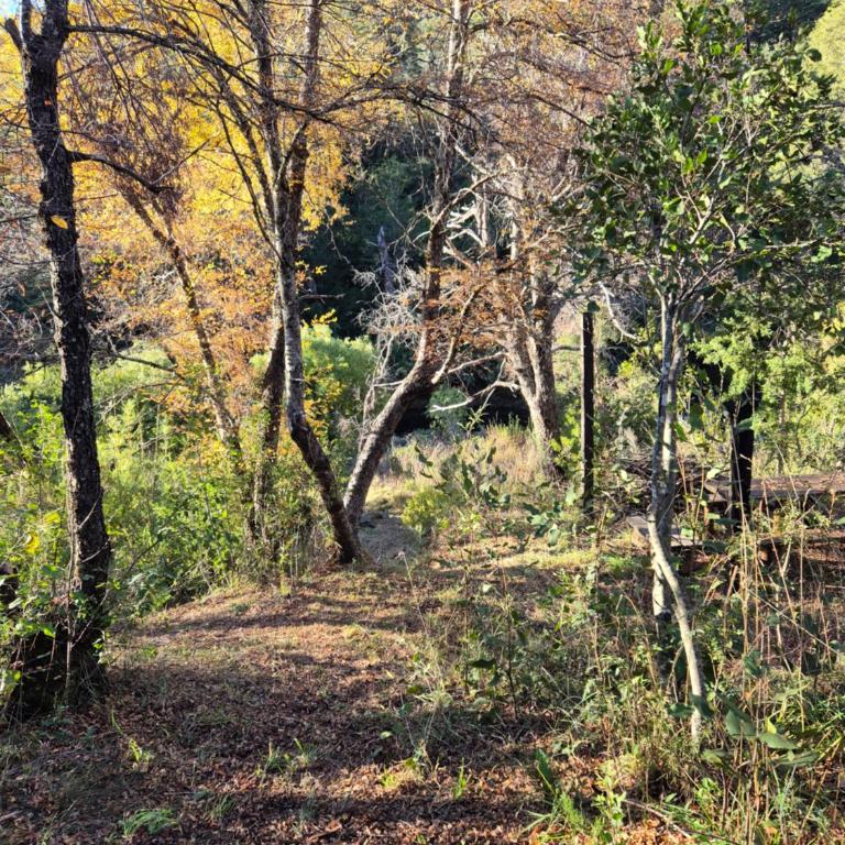 Cabaña Los Lleuques, Descanso en Cordillera a orillas del río Renegado - Chalet de 3 dormitorios - 24
