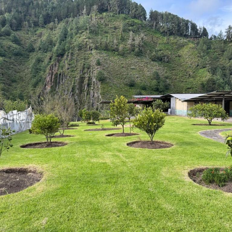 Luxury Mansion with Garden 6 Bedroom 6 Bath - Six-Bedroom House - 21
