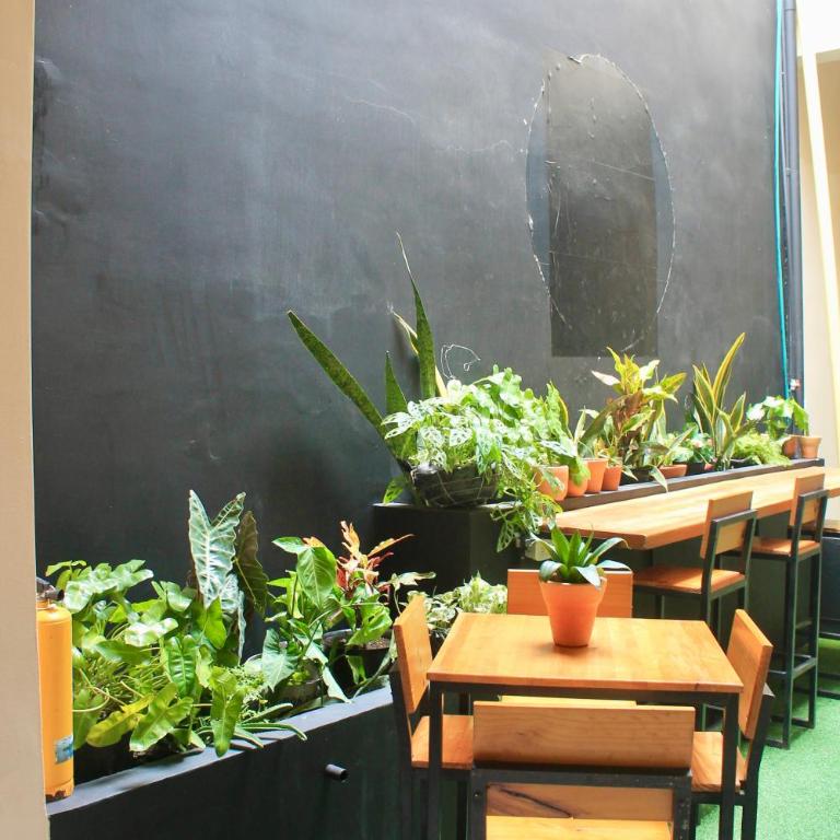 Juanis' House - Habitación Doble - 1 o 2 camas - 4