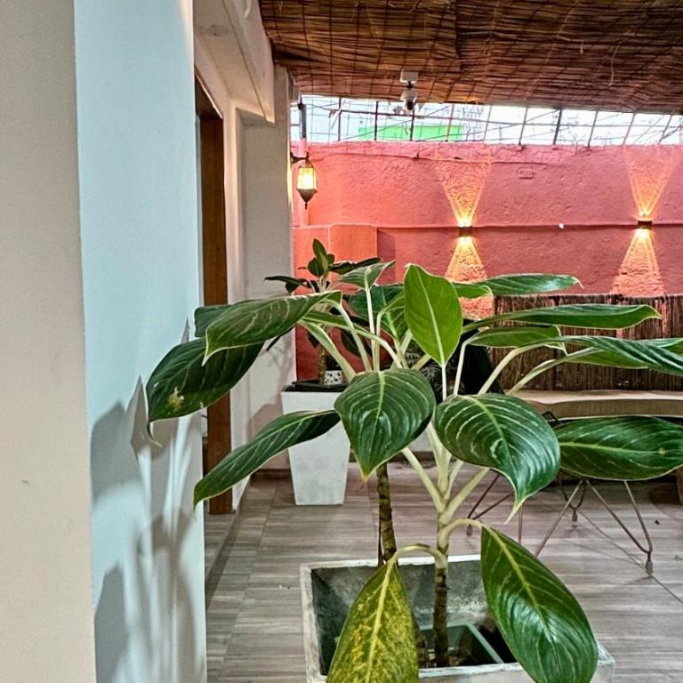 Spectacular house a few blocks from the beach - Casa de 5 dormitorios - 29