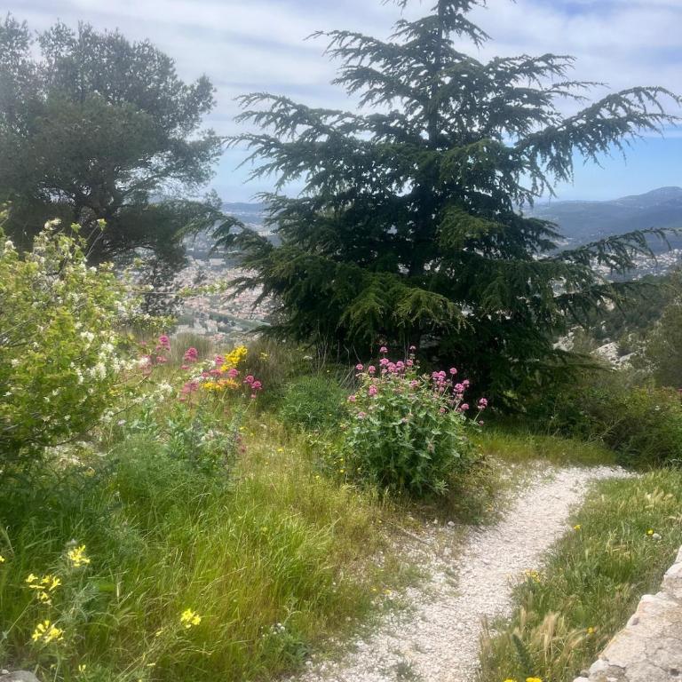 T2 cocooning Toulon center-4 people - Apartment mit 1 Schlafzimmer - 5