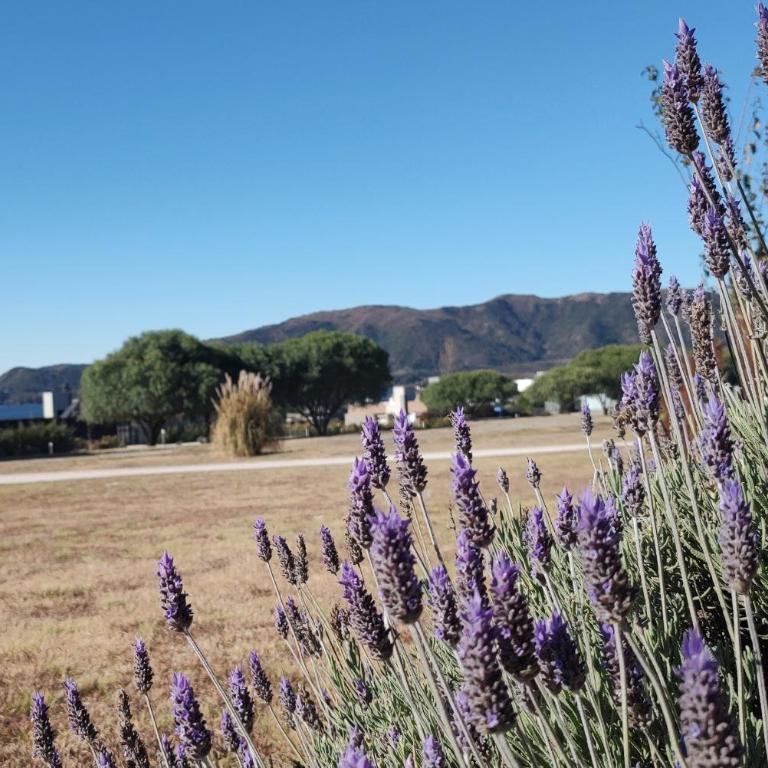 Puerto del Aguila potrero de Garay Inbalo 01 - Vacation Home - 15
