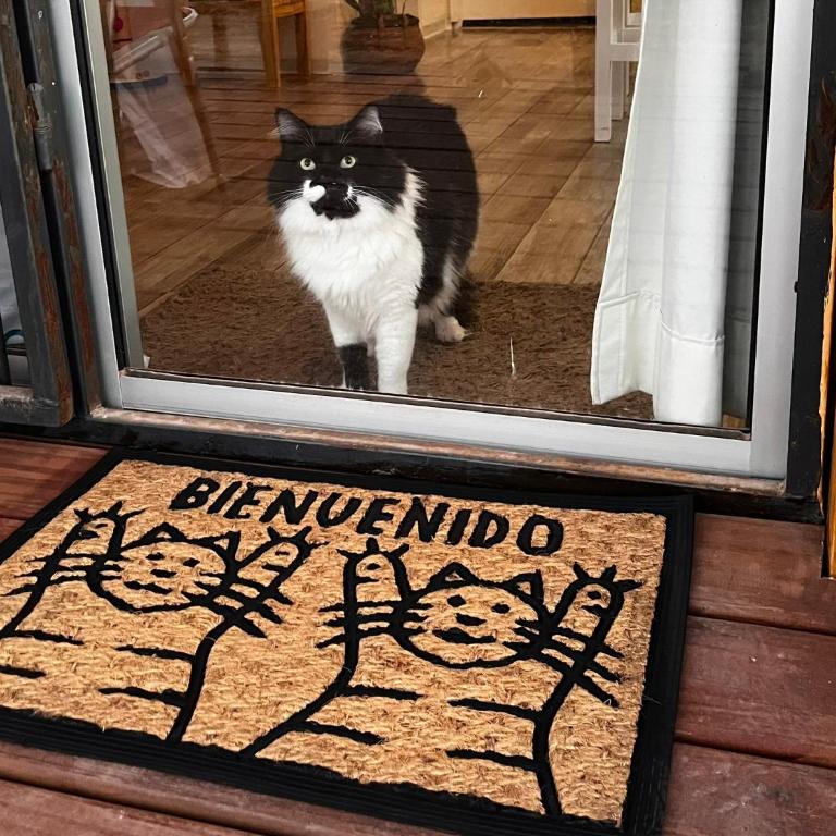 Rincon de los Michis - One-Bedroom House - 24