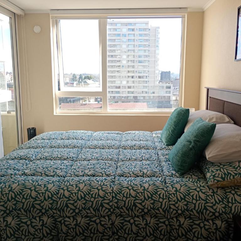 Arriendo 1 Departamento Diario Amoblado en Pleno Centro de Osorno Full Electrico y estacionamiento, comodidad y seguridad - Apartamento de 1 dormitorio - 6