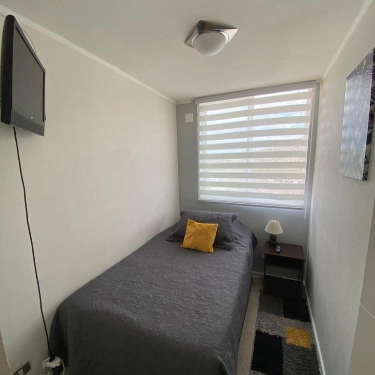 Mi departamento - Three-Bedroom Apartment - 11