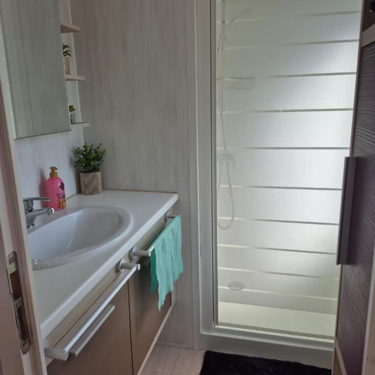 Mobil-Home Le Provençal - Mobile Home - 5