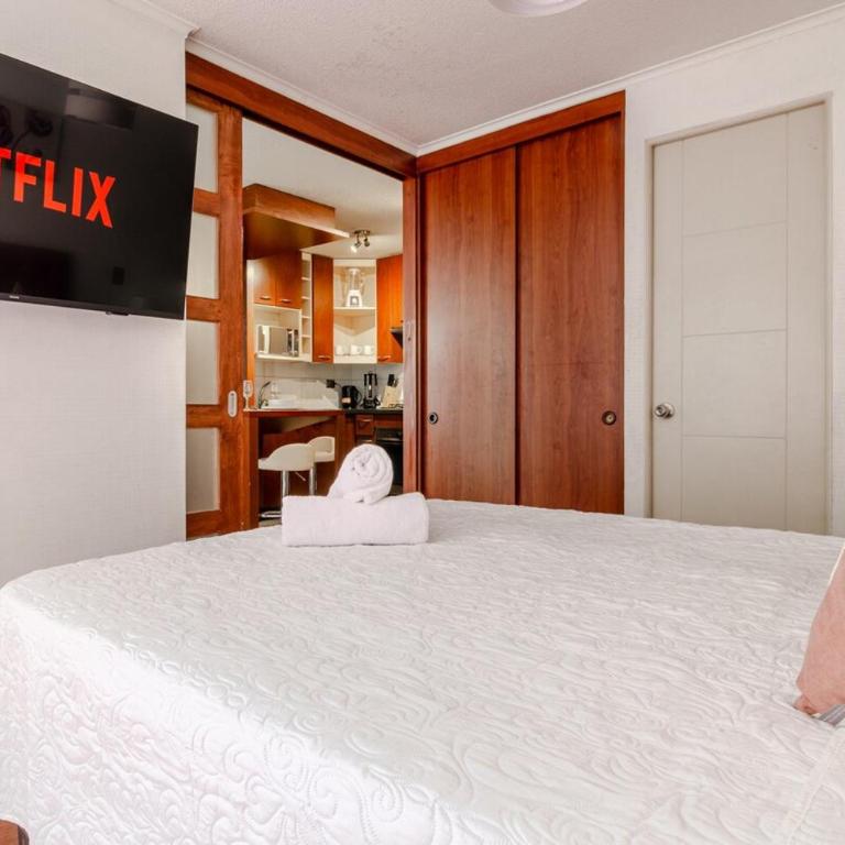 Bellas Artes Rosa - One-Bedroom Apartment - 8