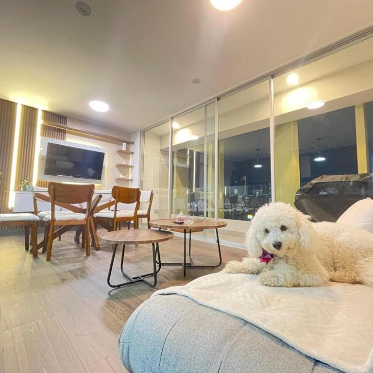 Departamento Increible -Trujillo - Apartamento de 1 dormitorio - 23