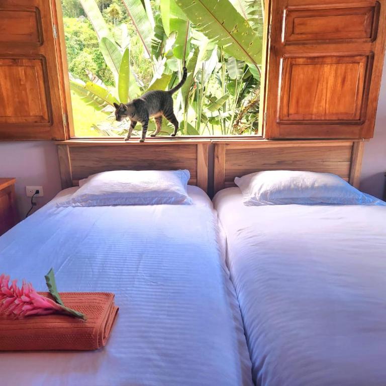 Mi Paraiso Escondido, Tamesis - Apartamento de 1 dormitorio - 22