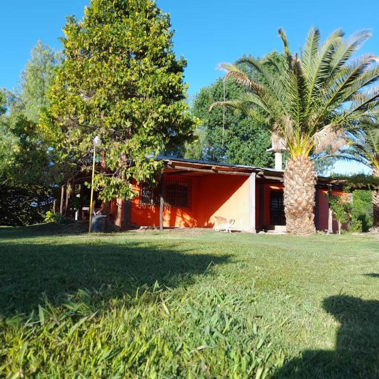 Cabañas Nono Mario - Casa de 2 dormitorios - 9