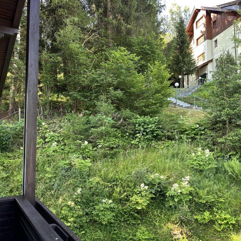 House Egger - Top 202 - Apartment mit 2 Schlafzimmern - 38