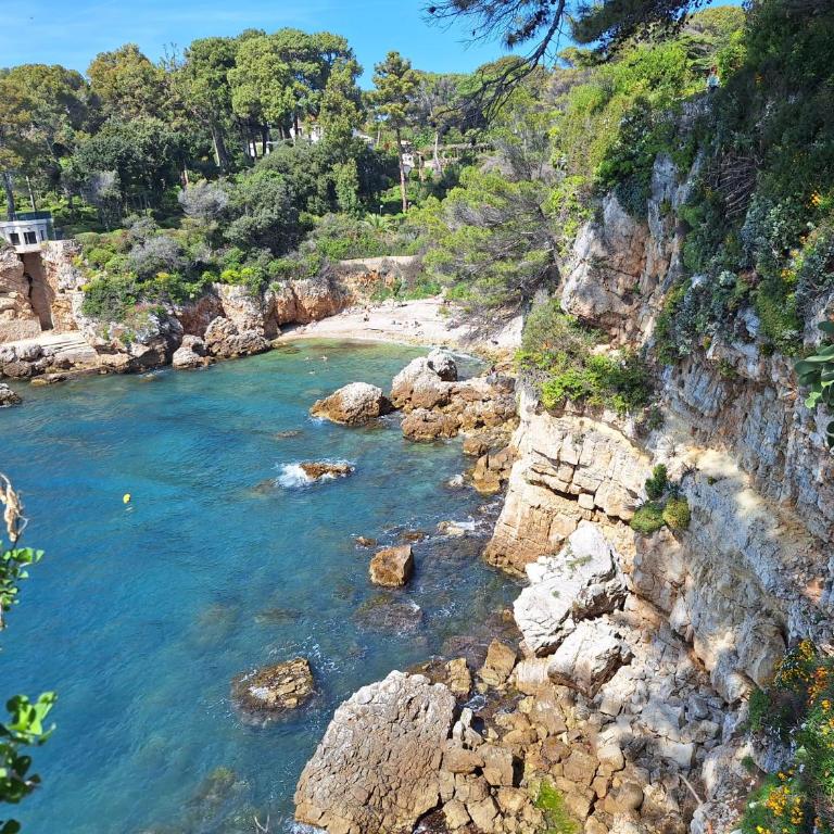 Au Cœur du Cap d'Antibes pour 2 personnes - Appartamento Monolocale - 24