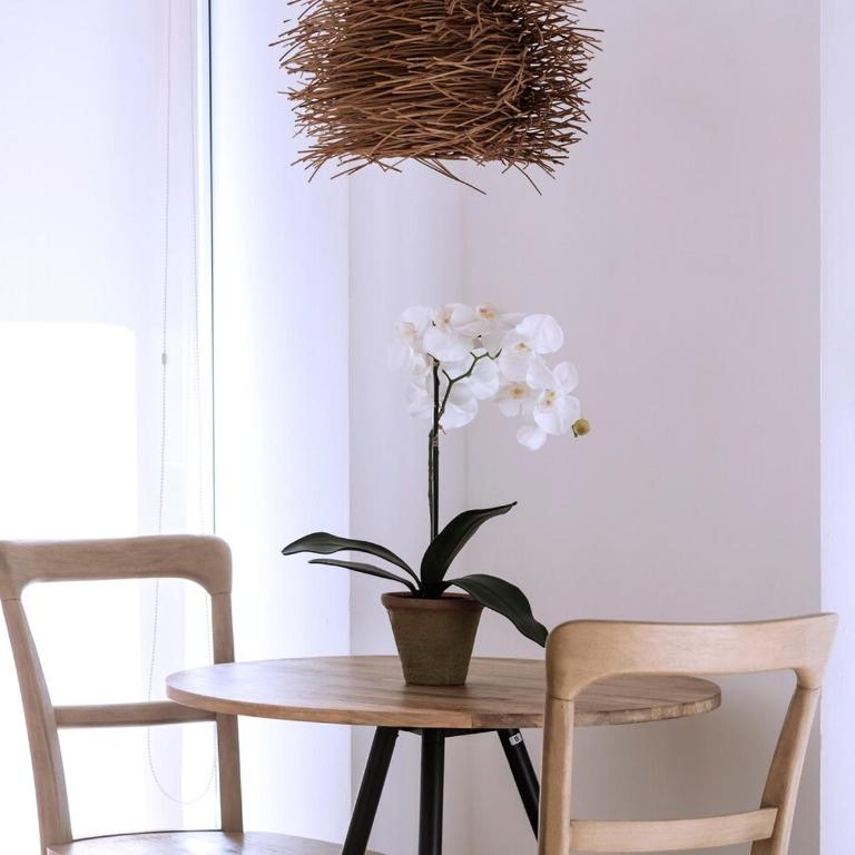 Alojamiento suspendido Gracias - One-Bedroom Apartment - 24