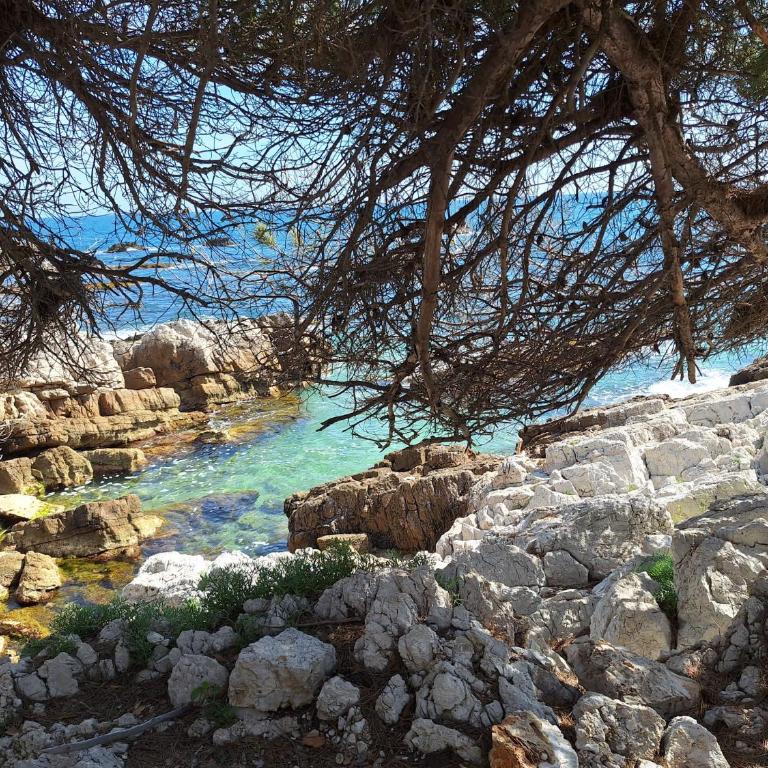 Au Cœur du Cap d'Antibes pour 2 personnes - Appartamento Monolocale - 12