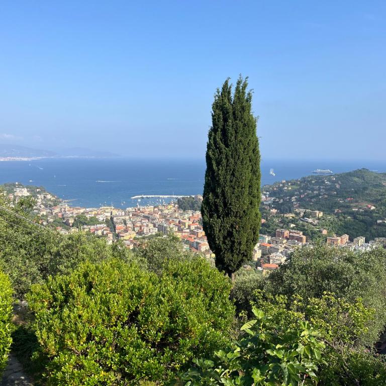 Villa Panorama with beautiful private garden - Villa - 5