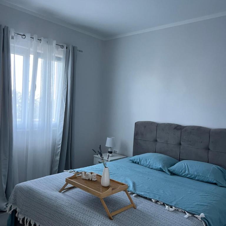 Apartments Tijana - Apartman sa 2 Spavaće Sobe - 3