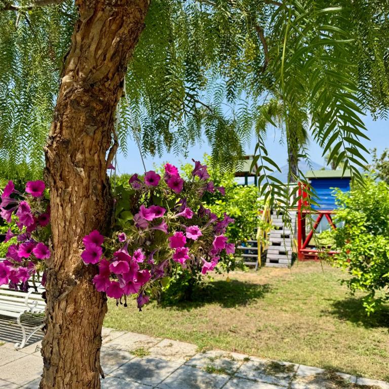 Villa Valentino Pompeji - Appartamento con 2 Camere da Letto - 8