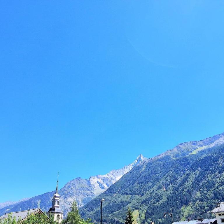 Le Majestic Superbe Appartement Centre Chamonix - Apartamento Clásico - 4