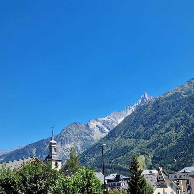 Le Majestic Superbe Appartement Centre Chamonix - Apartamento Clásico - 17