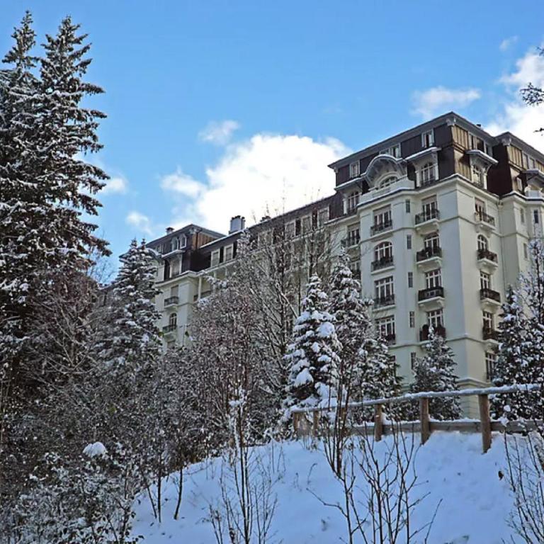 Le Majestic Superbe Appartement Centre Chamonix - Apartamento Clásico - 22