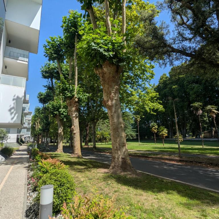 T3 neuf Baignots proche Thermes, centre, parking - Apartamento de 2 dormitorios - 19