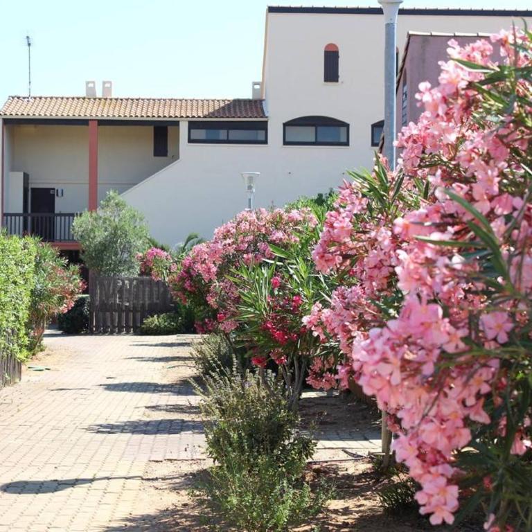 Appartement Studio Cabine - Gruissan GN020-211 - Studio - 16