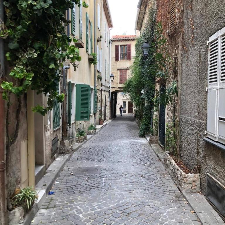 La Cathédrale Azuréenne - dans le vieil Antibes - Haus mit 2 Schlafzimmern - 18