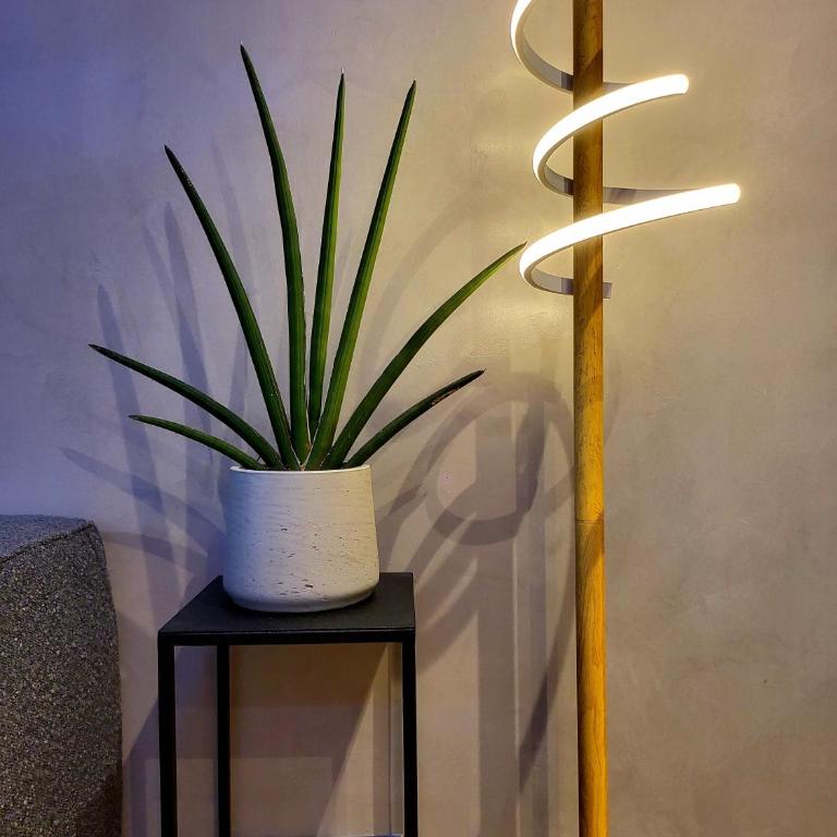 La Brillante d’Antibes - Superbe Studio - Estudio - 17