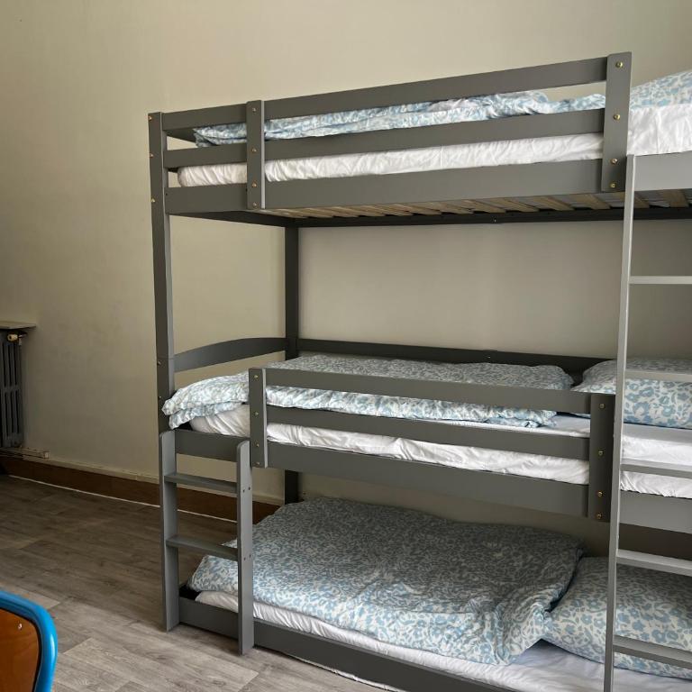 Alpazur - Bunk Bed in Female Dormitory Room - 3