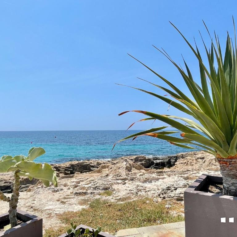 VH Costablanca - APARTAMENTO DEL PUERTO - Two-Bedroom Apartment with Sea View - 53