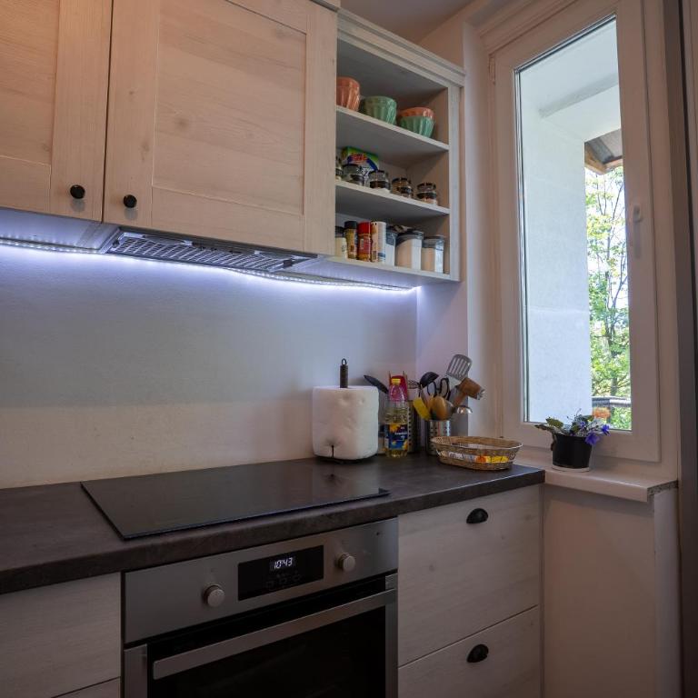 Apartment Stay Sarajevo - Apartman sa 1 Spavaćom Sobom - 13