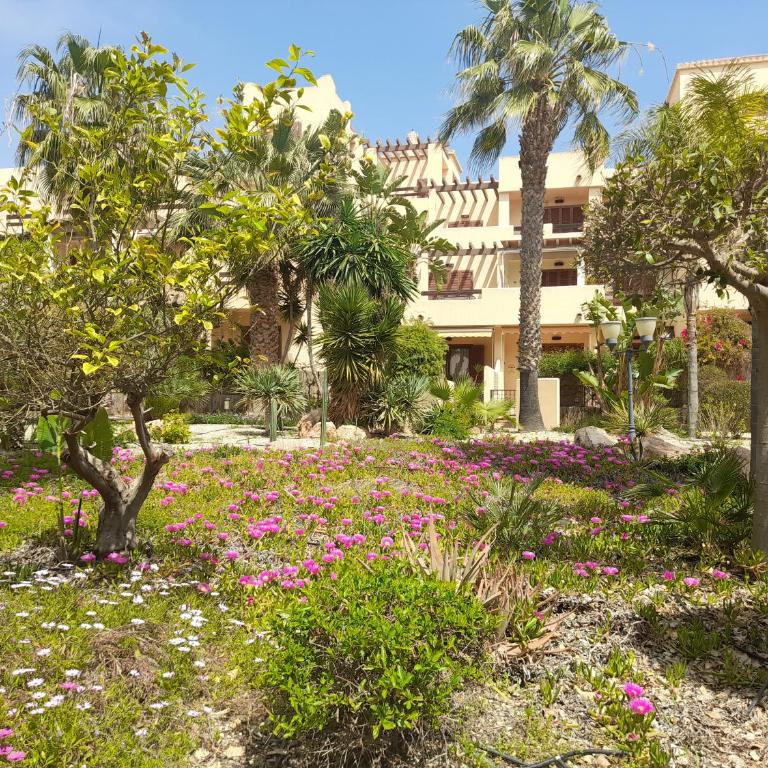 Apartamento en Bahia Fenicia - Vera Playa - Apartamento de 2 dormitorios - 53