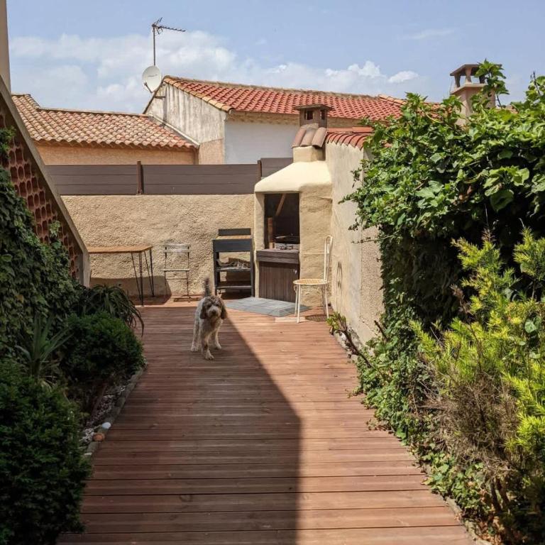 Valras-Loc - Maison bord de mer 2 terrasses - Maisonette-Apartment - 20