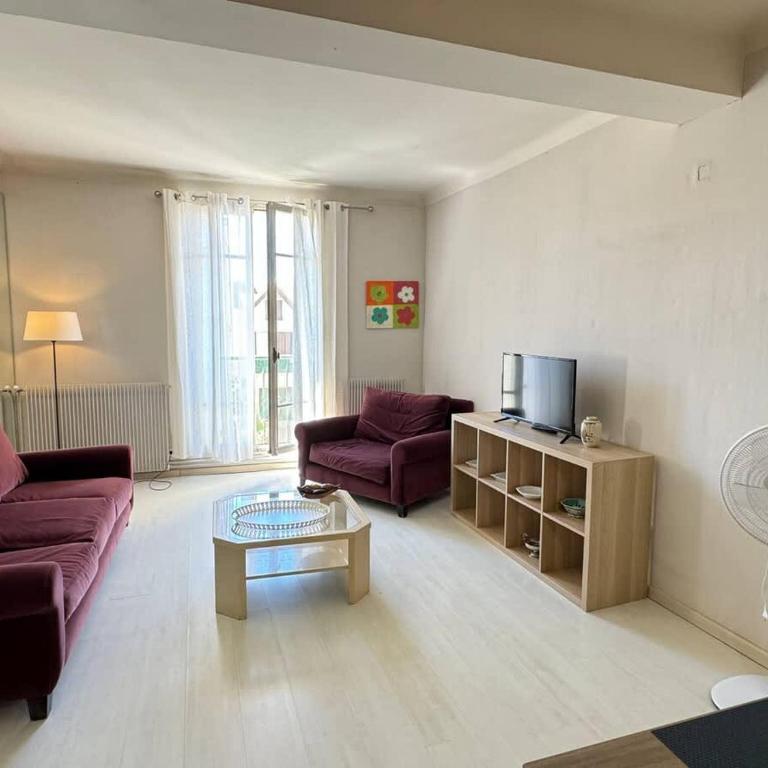 Charmant T3 en centre ville Beziers avec parking - Appartement - 10