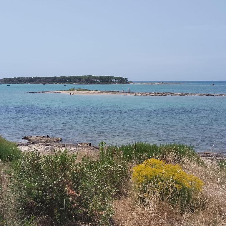 Onda Blu Apartments by My Home Apulia - One-Bedroom Apartment - 41