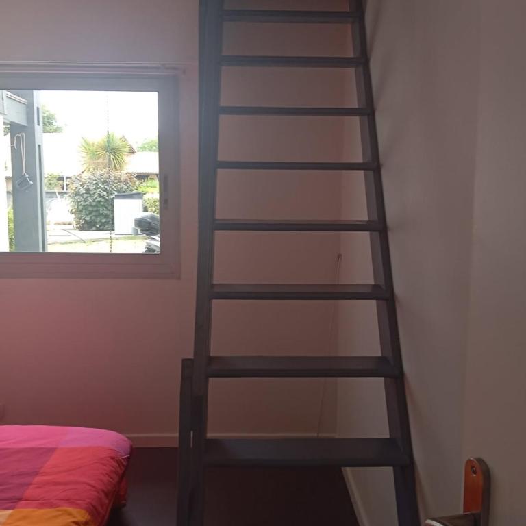 T2 Charmant et calme - Appartement 1 Chambre - 13