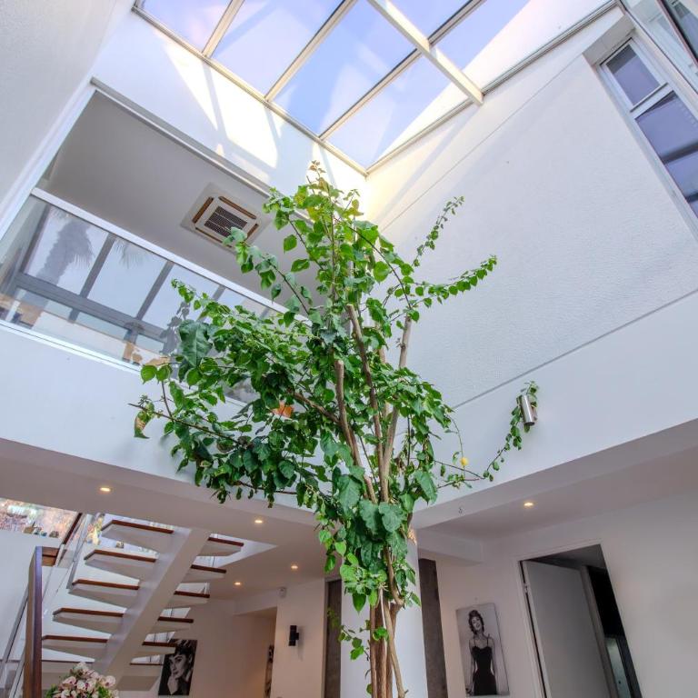 CABOTS Villa Moderne Tout Confort Grand Jardin & Piscine - Villa - 35