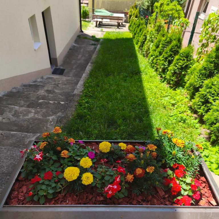 Apartman Jasmin - One-Bedroom Apartment - 13