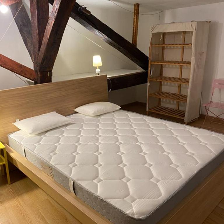 Grands appartements dans la vieille ville - Apartamento de 2 dormitorios con vistas - 14
