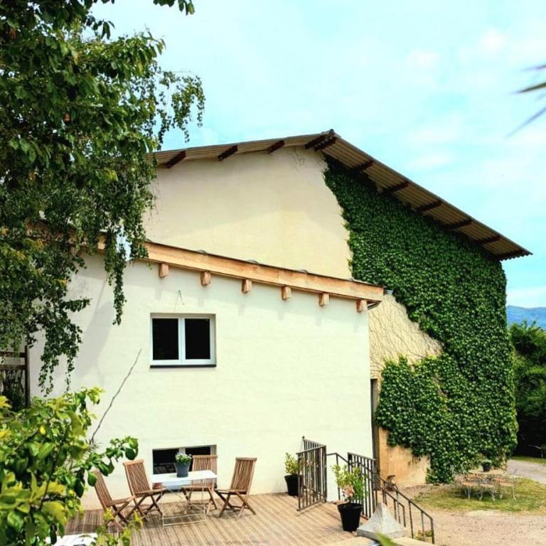 La Petite Grange - Appartement 1 Chambre - 1